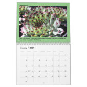 Kleurrijke Succulenten Kalender met Care Tips (Jan 2027)