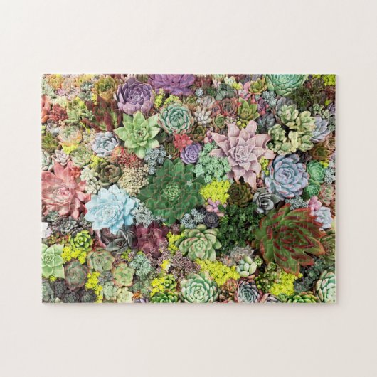 kleurrijke Succulenten Legpuzzel (Horizontaal)
