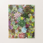 kleurrijke Succulenten Legpuzzel (Verticaal)