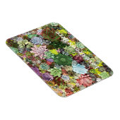 kleurrijke Succulenten Magneet (Rechterzijde)