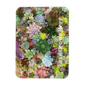 kleurrijke Succulenten Magneet (Verticaal)
