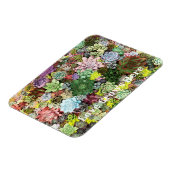 kleurrijke Succulenten Magneet (Linkerzijde)