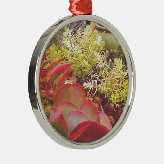 kleurrijke Succulenten Metalen Ornament (Rechts)