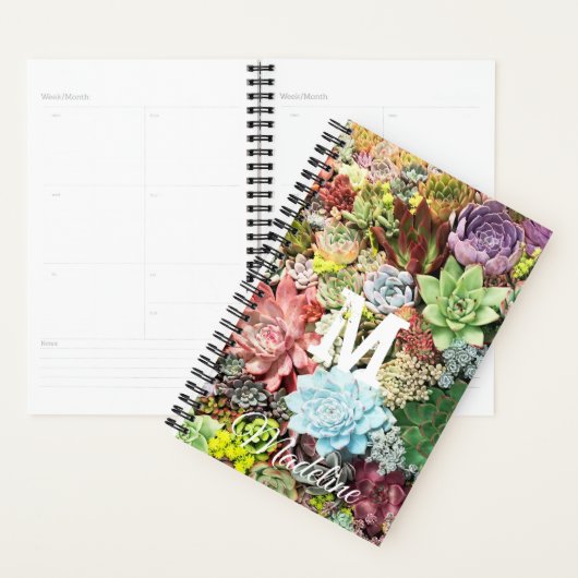 kleurrijke Succulenten Planner (Display)