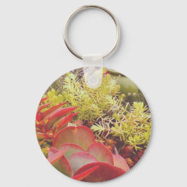 kleurrijke Succulenten Sleutelhanger