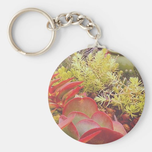 kleurrijke Succulenten Sleutelhanger (Voorkant)