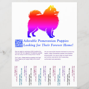 Kleurrijke tekening van een Pomeranian pup  Flyer