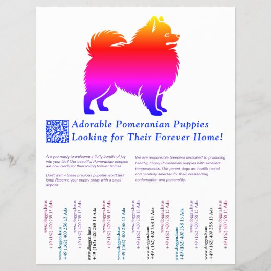 Kleurrijke tekening van een Pomeranian pup  Flyer (Voorkant)
