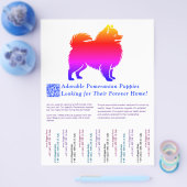 Kleurrijke tekening van een Pomeranian pup  Flyer (Enkel)