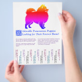 Kleurrijke tekening van een Pomeranian pup  Flyer (Hand)