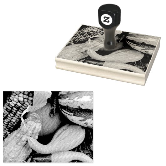 kleurrijke Thanksgiving Rubberstempel (Gestempeld)