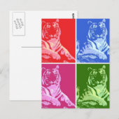 Kleurrijke tijgers briefkaart (Voorkant / Achterkant)