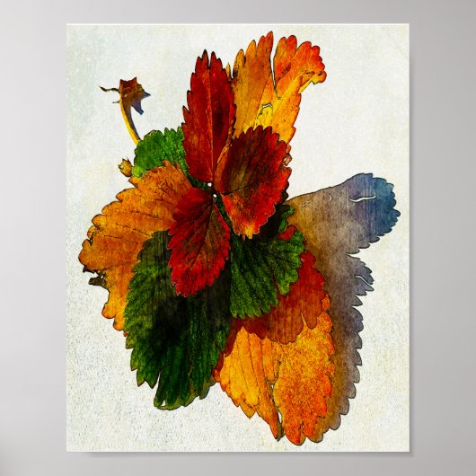 Kleurrijke tinten van herfstbladeren poster (Voorkant)