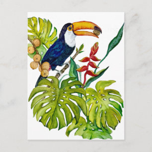 Kleurrijke Toekan Waterverf Tropische Vogel Briefkaart