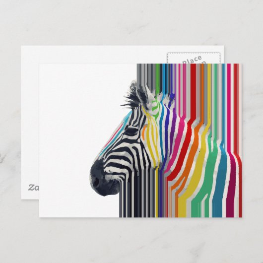 Kleurrijke trilstrips voor Zebra Briefkaart (Voorkant / Achterkant)