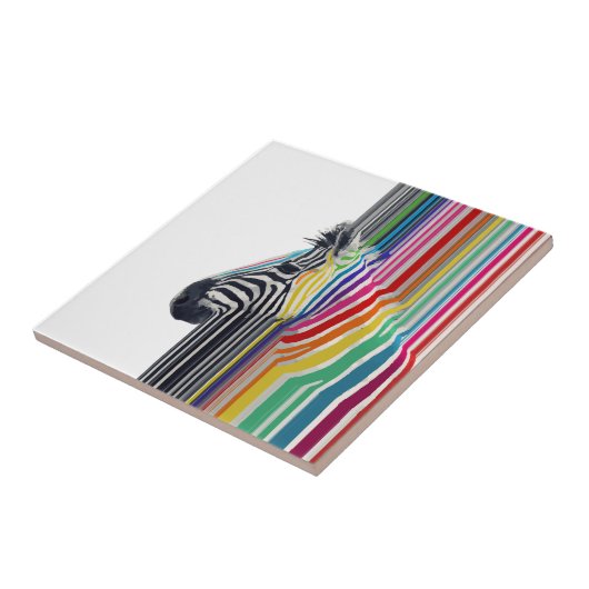 Kleurrijke trilstrips voor Zebra Tegeltje (Zijkant)