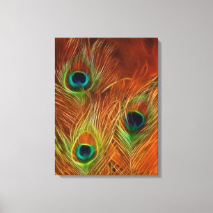 Kleurrijke trio pauwenveren verpakt canvas afdruk