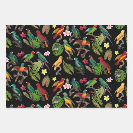 Kleurrijke tropische parrots, bladeren en bloemen inpakpapier vel (Voorkant 3)