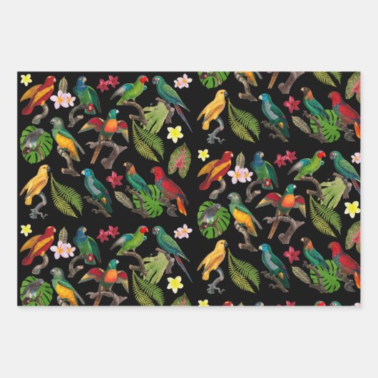 Kleurrijke tropische parrots, bladeren en bloemen inpakpapier vel (Voorkant)