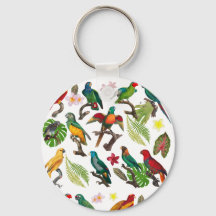 Kleurrijke tropische parrots, bladeren en bloemen