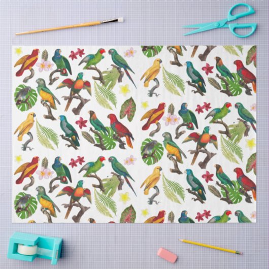 Kleurrijke tropische parrots, bladeren en bloemen tissuepapier (Craft)