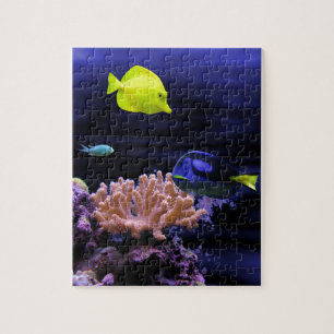 Kleurrijke tropische vissen legpuzzel