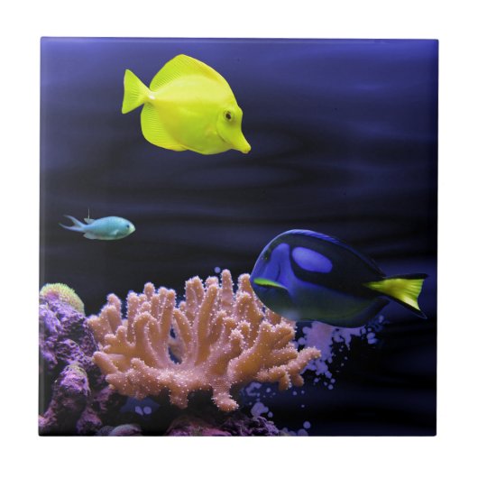 Kleurrijke tropische vissen tegeltje (Voorkant)