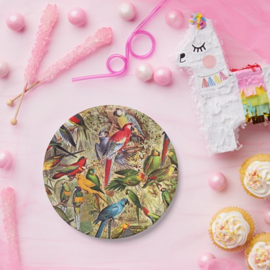 Kleurrijke  tropische vogelparrots papieren bordje (Feest)