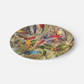 Kleurrijke  tropische vogelparrots papieren bordje (Gekanteld)