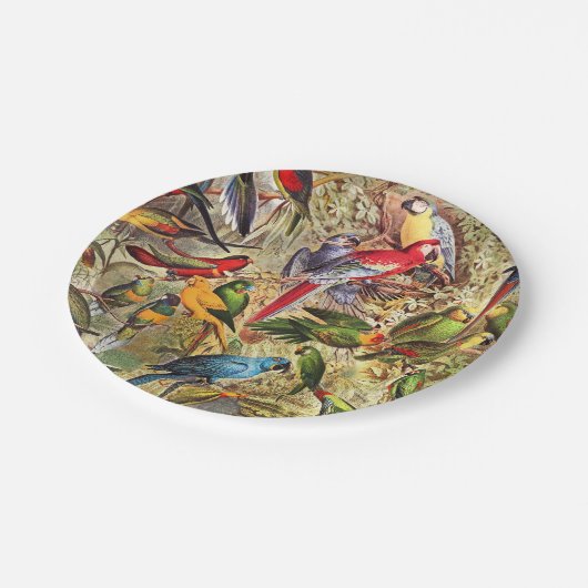 Kleurrijke  tropische vogelparrots papieren bordje (Gekanteld)