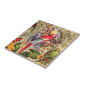 Kleurrijke  tropische vogelparrots tegeltje (Zijkant)