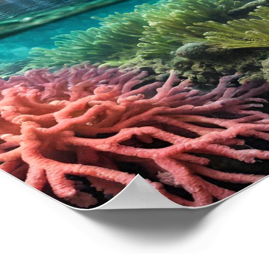 Kleurrijke tropische watervallen poster (Hoek)