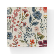 Kleurrijke Tuin Bloemen Wilde Bloem Lente Weiland