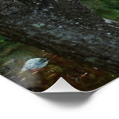 Kleurrijke tuin vijver seizoensgebonden landschap perfect poster (Hoek)