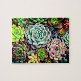 Kleurrijke tuin voor het maken van een Succulent a Legpuzzel
