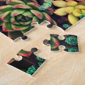 Kleurrijke tuin voor het maken van een Succulent a Legpuzzel (Zijkant)