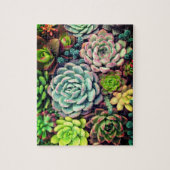 Kleurrijke tuin voor het maken van een Succulent a Legpuzzel (Verticaal)