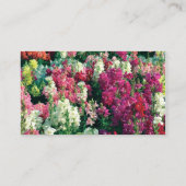 kleurrijke tuinbloemen visitekaartje (Achterkant)