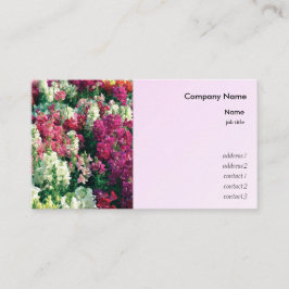  kleurrijke tuinbloemen visitekaartje