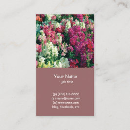  kleurrijke tuinbloemen visitekaartje
