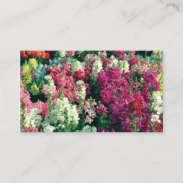  kleurrijke tuinbloemen visitekaartje