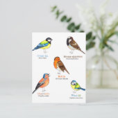 Kleurrijke tuinvogels briefkaart (Staand voorkant)