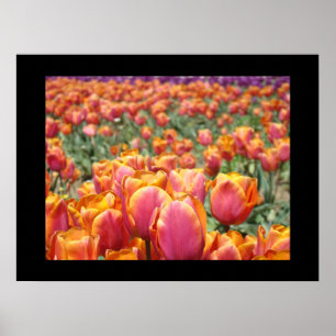 Kleurrijke Tulp Bloemen kunstprints Tulpen Bloemst Poster