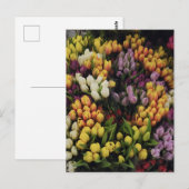 Kleurrijke Tulp Bloemtuin in Bloei, Stijlvol Briefkaart (Voorkant / Achterkant)