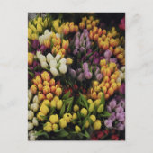 Kleurrijke Tulp Bloemtuin in Bloei, Stijlvol Briefkaart (Voorkant)