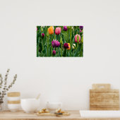 Kleurrijke tulpen afdrukken poster (Keuken)