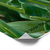 Kleurrijke tulpen afdrukken poster (Hoek)