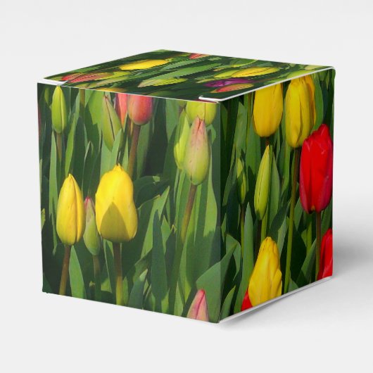 Kleurrijke Tulpen Bedankdoosjes (Voorkant Zijde)