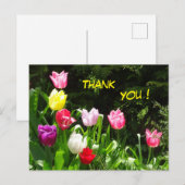 Kleurrijke Tulpen Bedankkaart Briefkaart (Voorkant / Achterkant)