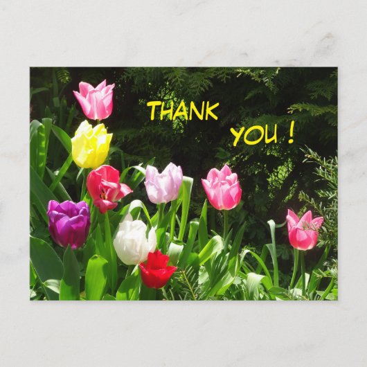 Kleurrijke Tulpen Bedankt Ansichtkaart Briefkaart (Voorkant)